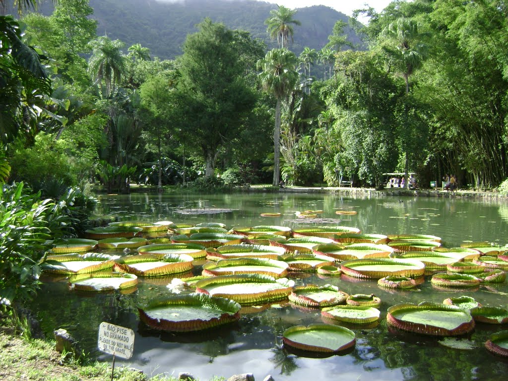 Jardín Botánico